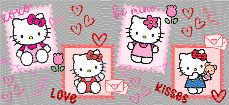 16oz Sanrio-K 141